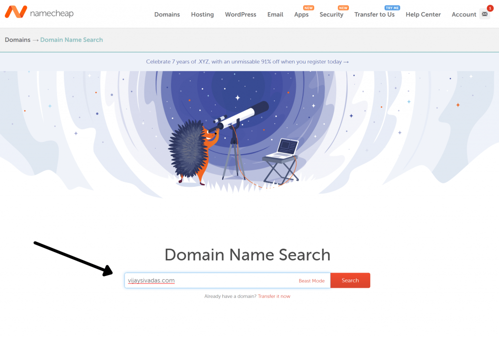buying a domain in namecheap 