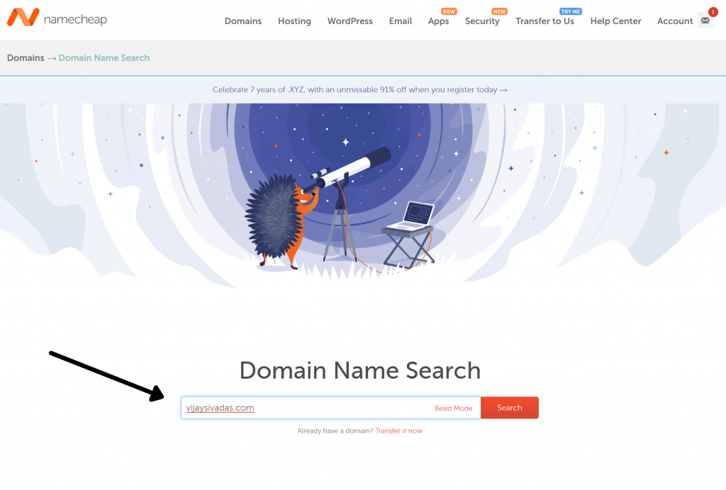 buying a domain in namecheap
