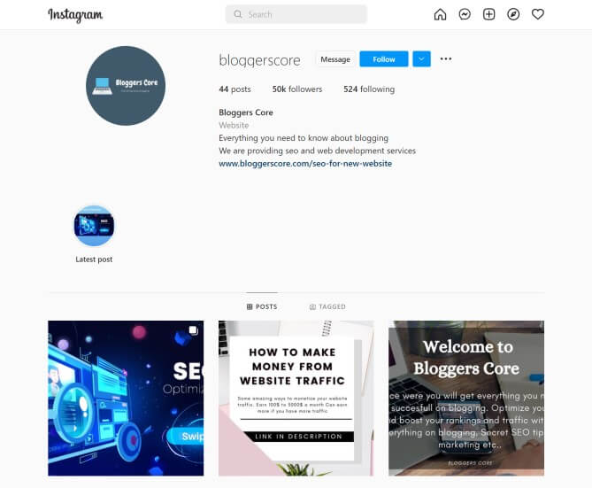 gain followers in Instagram and earn income