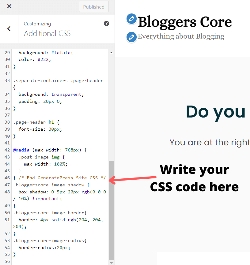 add your CSS class in additional CSS