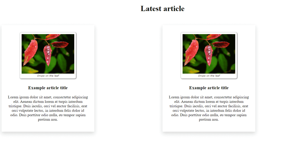 article tag example